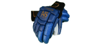 NS-TITNM-CRICBG-BLUE-YOUTH3