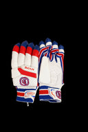 D Sports Hype Cricket Batting Gloves