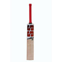 SS-MASTER-50-ENGLISH-WILLOW-CRICKET-BAT-3-1