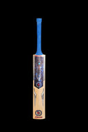 D Sports Astra Cricket Bat