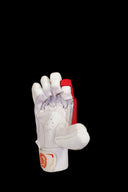 D Sports Legend Cricket Batting Gloves