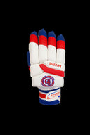 D Sports Hype Cricket Batting Gloves